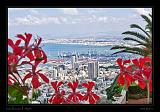 Haifa 004